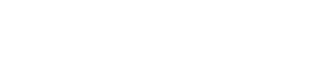 Nisar Mobilya Logo